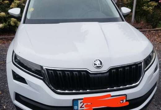 Skoda 2.0 TDI 4x4 DSG Soleil