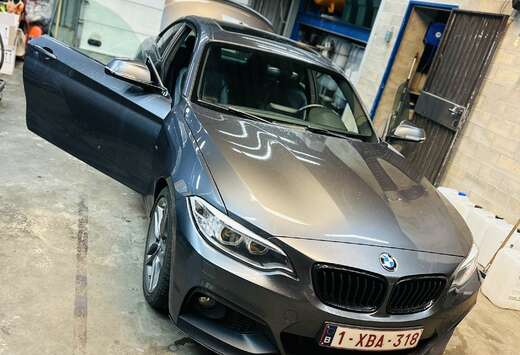 BMW 218d Coupe Advantage