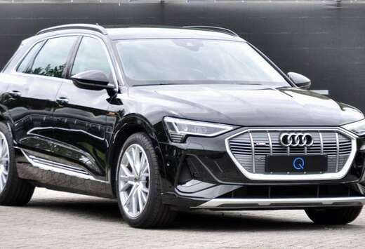 Audi 95 kWh 55 LEDER QUATTRO S-LINE CAMERA ELEKKOFFER ...