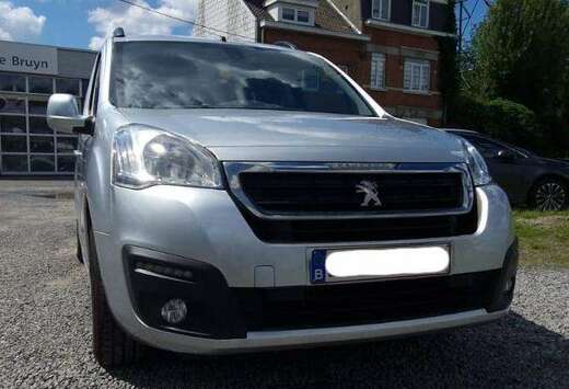 Peugeot Partner Tepee 1.6i Access