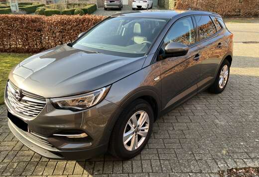 Opel Grandland X 1.2 Turbo Ecotec Edition