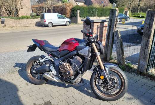 Honda R e clutch
