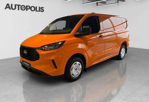 Ford 2.0TD Trend 300S SWB