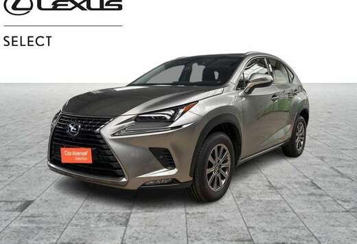 Lexus BUSINESS LINE