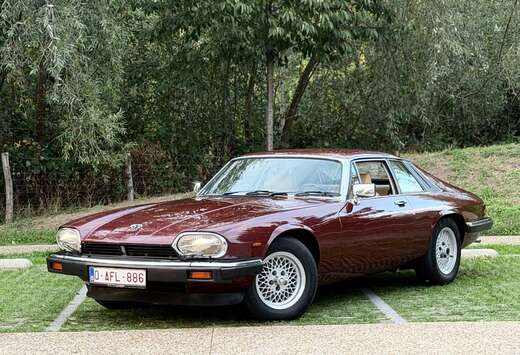 Jaguar V12