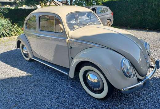 Volkswagen COX OVALE RESTAUREE