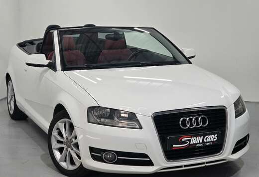 Audi 2.0 TDi  Cuir Bordeaux  1ier propriétaire  Carn ...