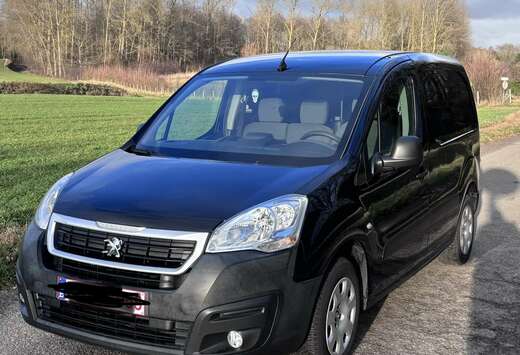 Peugeot 1.6 HDi 90 L2 FAP