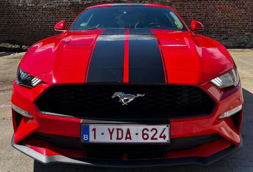 Ford Mustang Fastback 2.3 Eco Boost Aut.