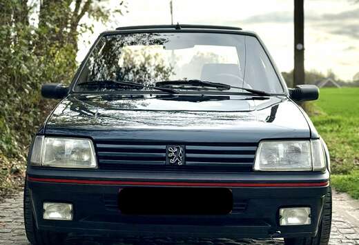 Peugeot 1.9L GTI