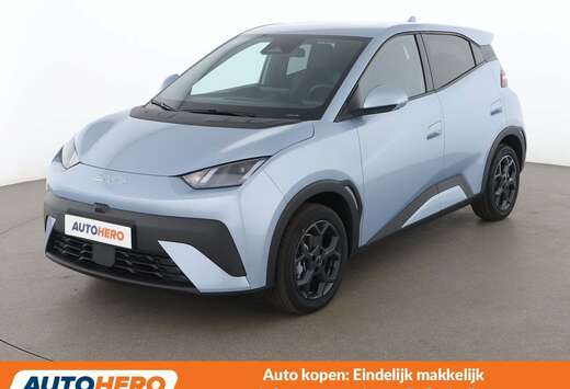 BYD electric drive 115 kW Comfort