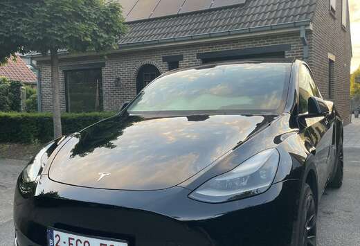 Tesla 52 kWh Standard Range RWD