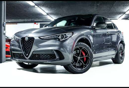 Alfa Romeo QUADRIFOGLIO 2.9T V6 AT8-Q4GRIGIO VESUVIOC ...