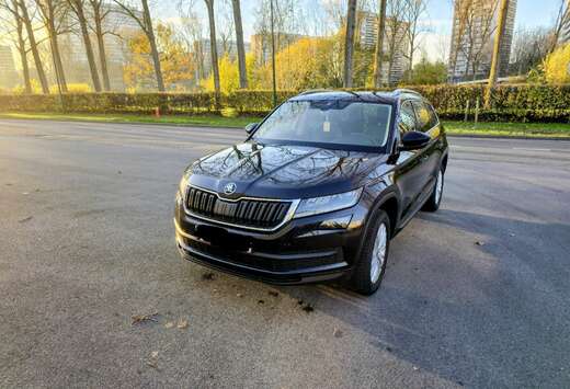 Skoda 2.0 CR TDi Clever DSG