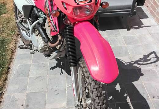 Honda HM crf 230F