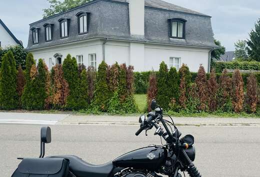 Harley-Davidson Street XG750 -- bouwjaar 2017