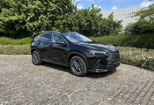 Lexus Executive Line AWD