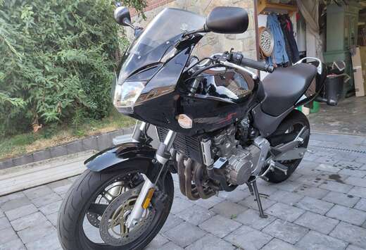 Honda Hornet