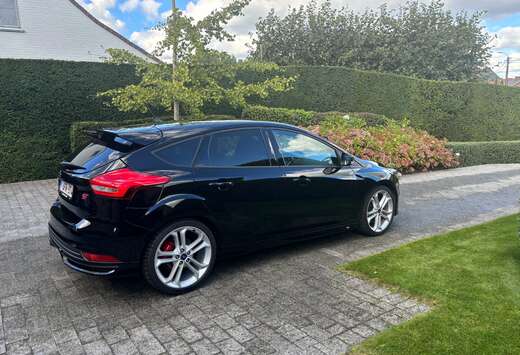 Ford Focus 2.0 EcoBoost ST mit Leder-Sport-Paket