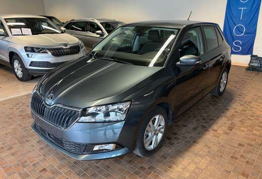 Skoda 1.0 TSI Style DSG (SEULEMENT 8351KM)