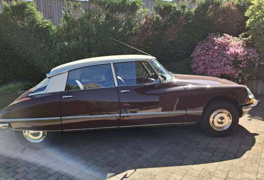 Citroen id