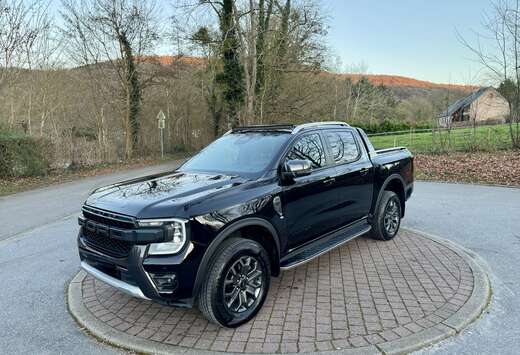 Ford 2.0 EcoBlue e-4WD Wildtrak