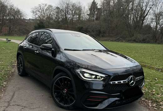 Mercedes-Benz d 4-Matic Business Solution