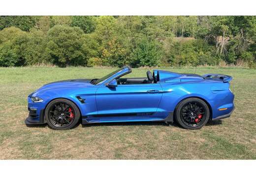 Ford Shelby Super Snake Speedster - 1of 98