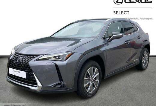 Lexus Executive Line & EV drive & TO