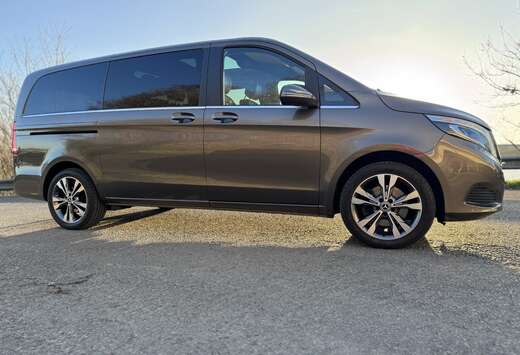 Mercedes-Benz V 250 d 4-Matic Avantgarde -Pano-Leder- ...