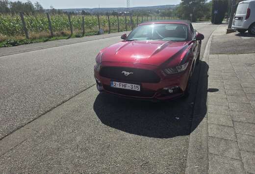 Ford Convertible 2.3 EcoBoost