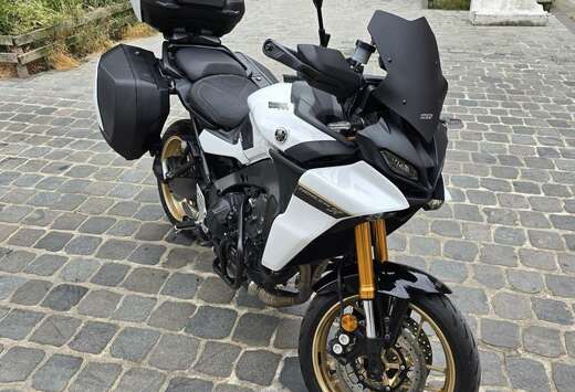 Etat  + Valises/Topcase/Feux additionnels/etc...
