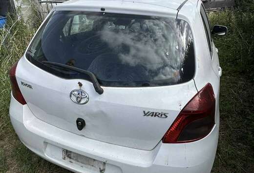 Toyota 1.4 Turbo D4D Terra