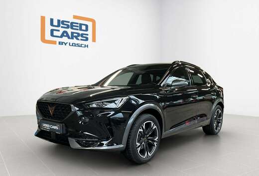 DSG+P.Vision+AHK+P.Safe+P.Hive