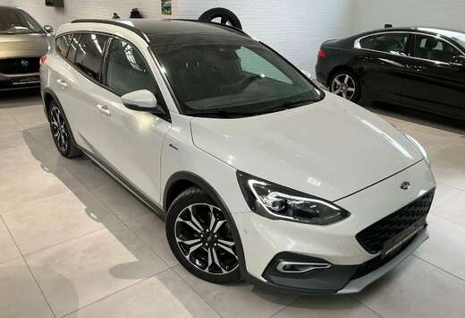 Ford ACTIVE CLIPPER AUTOMAAT BENZINE OPEN DAK