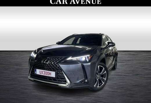 Lexus Executive Line