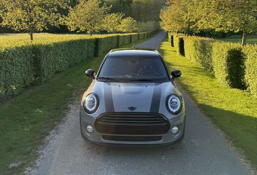 MINI 1.5