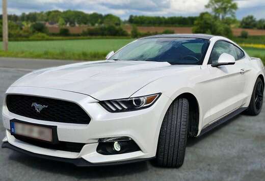 Ford Mustang 2.3 EcoBoost