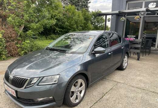 Skoda 1.0 TSI Ambition (EU6.2)