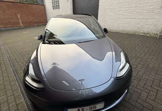 Tesla Standard Reichweite Plus Hinterradantrieb