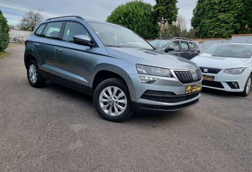 Skoda 1 an garantie