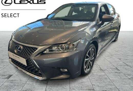 Lexus Business Line