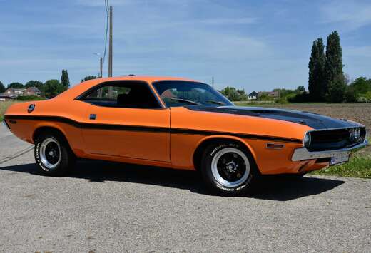 Dodge