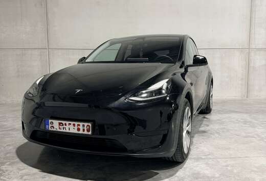 Tesla Model Y RWD