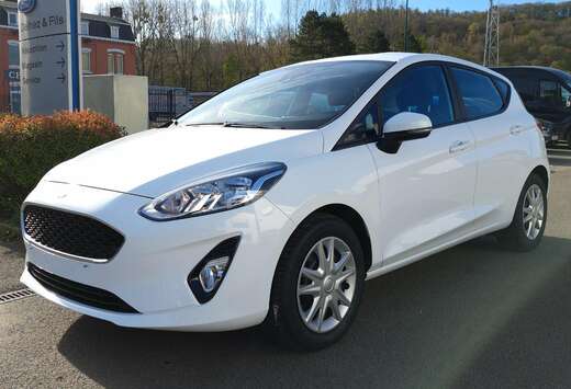 Ford Fiesta 1.0 EcoBoost Business Class (EU6.2)