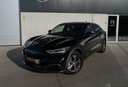 Ford Standard Range l Pano l 360 l 94,6% SOH