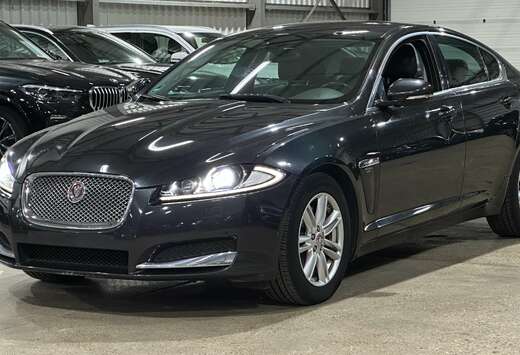 Jaguar XF E-Performance Aut. Pure