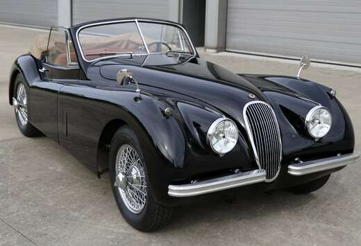 Jaguar 120 Drophead Coupé / Matching numbers