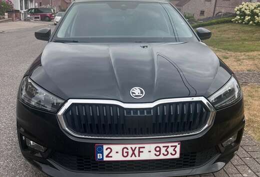 Skoda 1.0 TSI Family