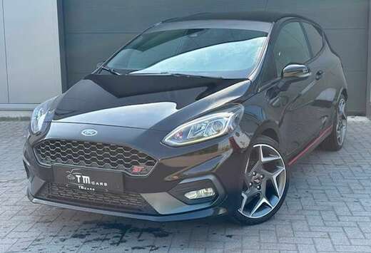 Ford zetel- stuurverwarming/navigatie/camera